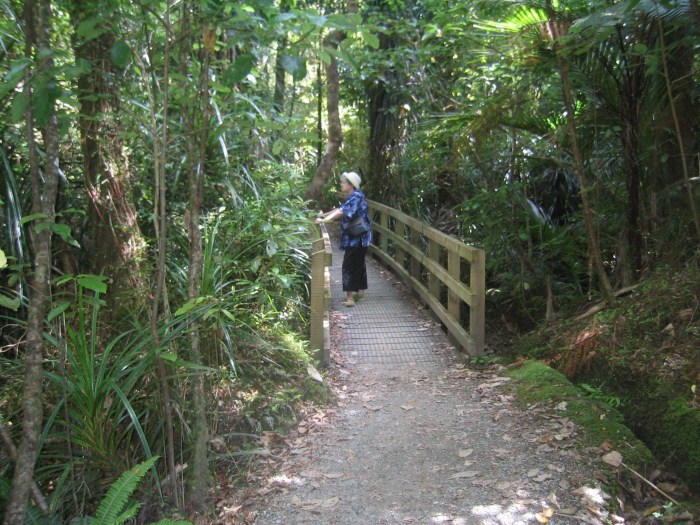 Untitled copy-1 (dragged) 3.jpg